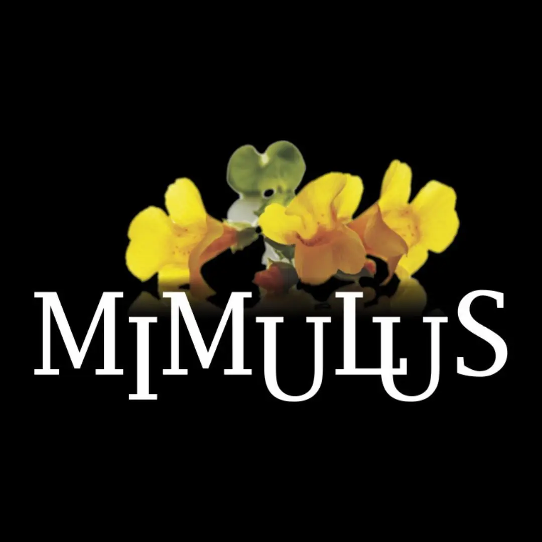 Mimulus