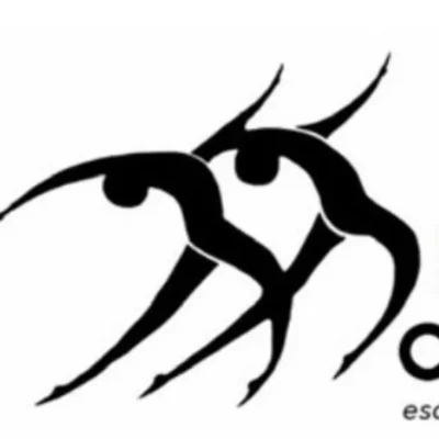 Arte em Movimento