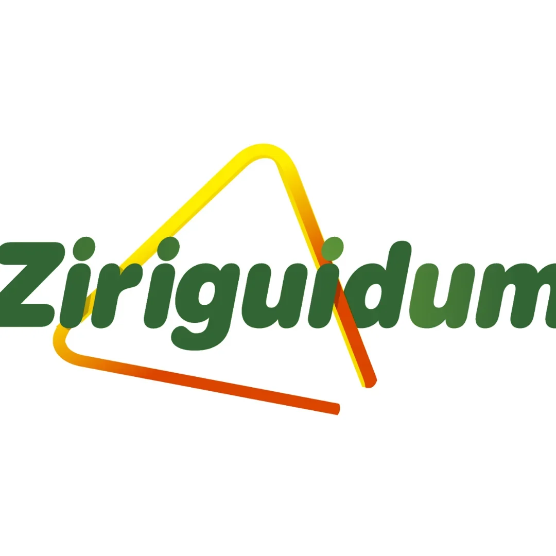 Ziriguidum