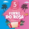 Foto de perfil do Festival de Forró do Rosa