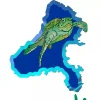 tartaruga_verde