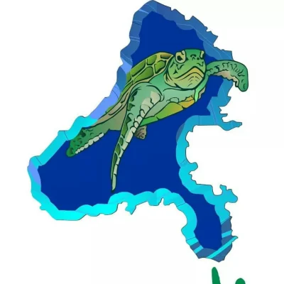 tartaruga_verde